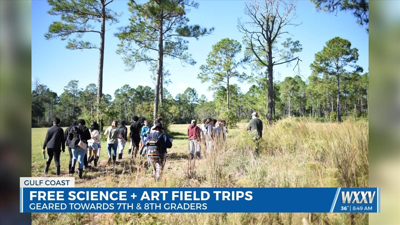Walter Anderson Museum of Art science and art field trips for students