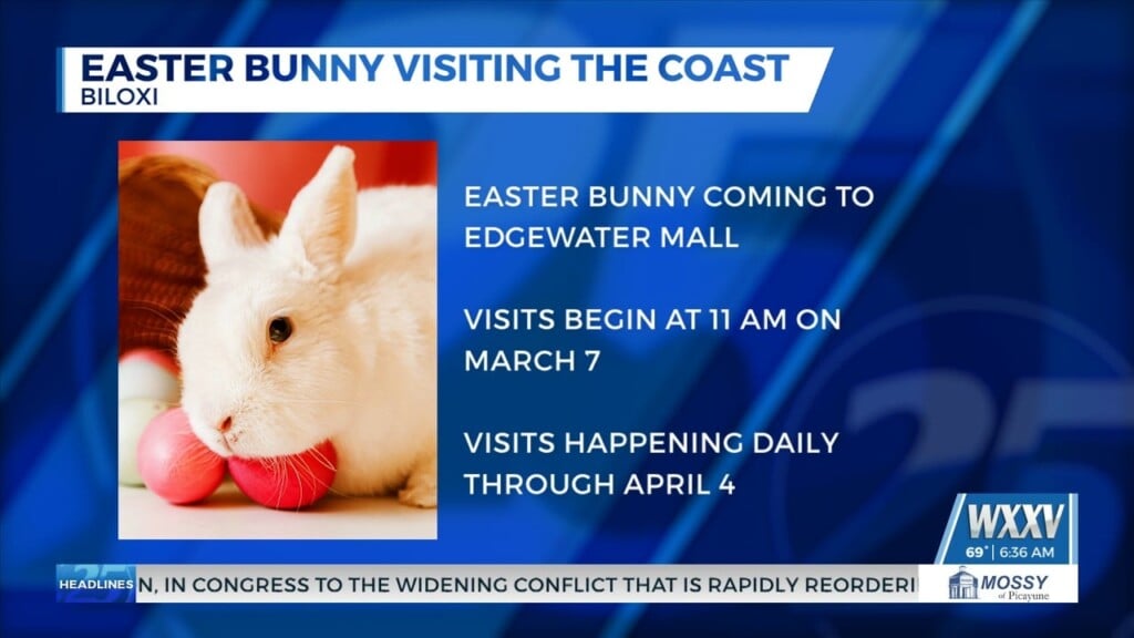 Easter Bunny Visiting The Edgewater Mall