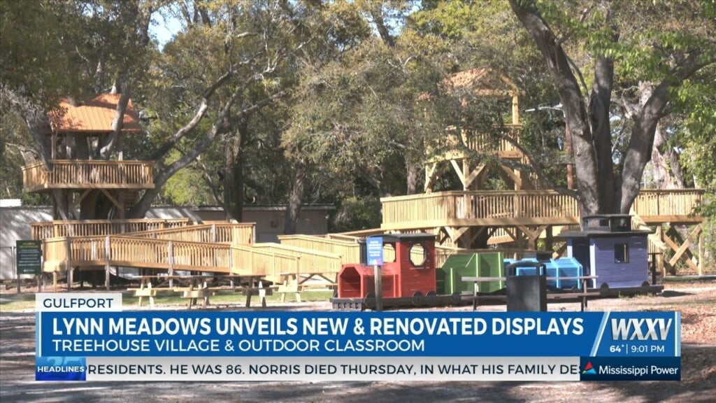 Lynn Meadows Discovery Center Cuts Ribbon On New Outdoor Classroom, Restored Treehouse Village