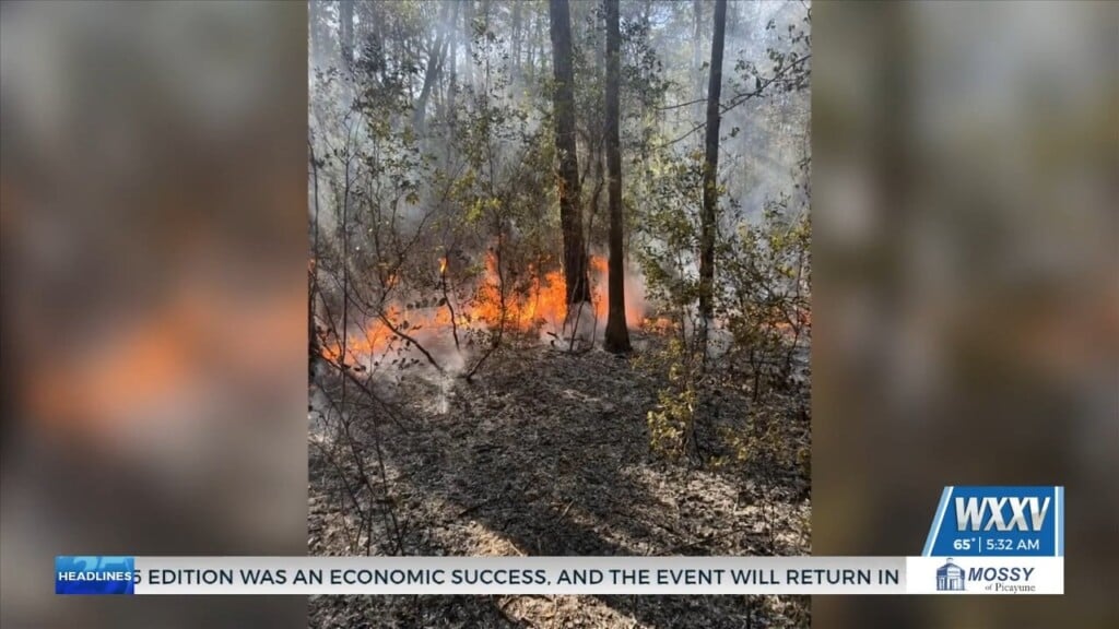 Fire Crews Battle Multiple Small Woods Fires Over The Weekend In Jackson County
