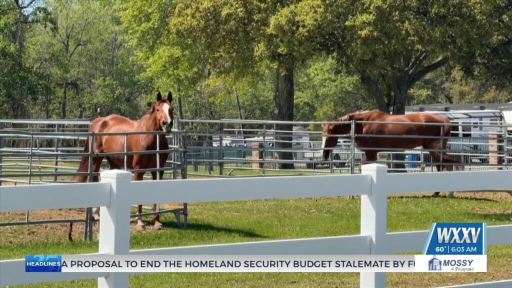 Gulf Coast Winter Classics Wraps Up At Harrison County Fairgrounds