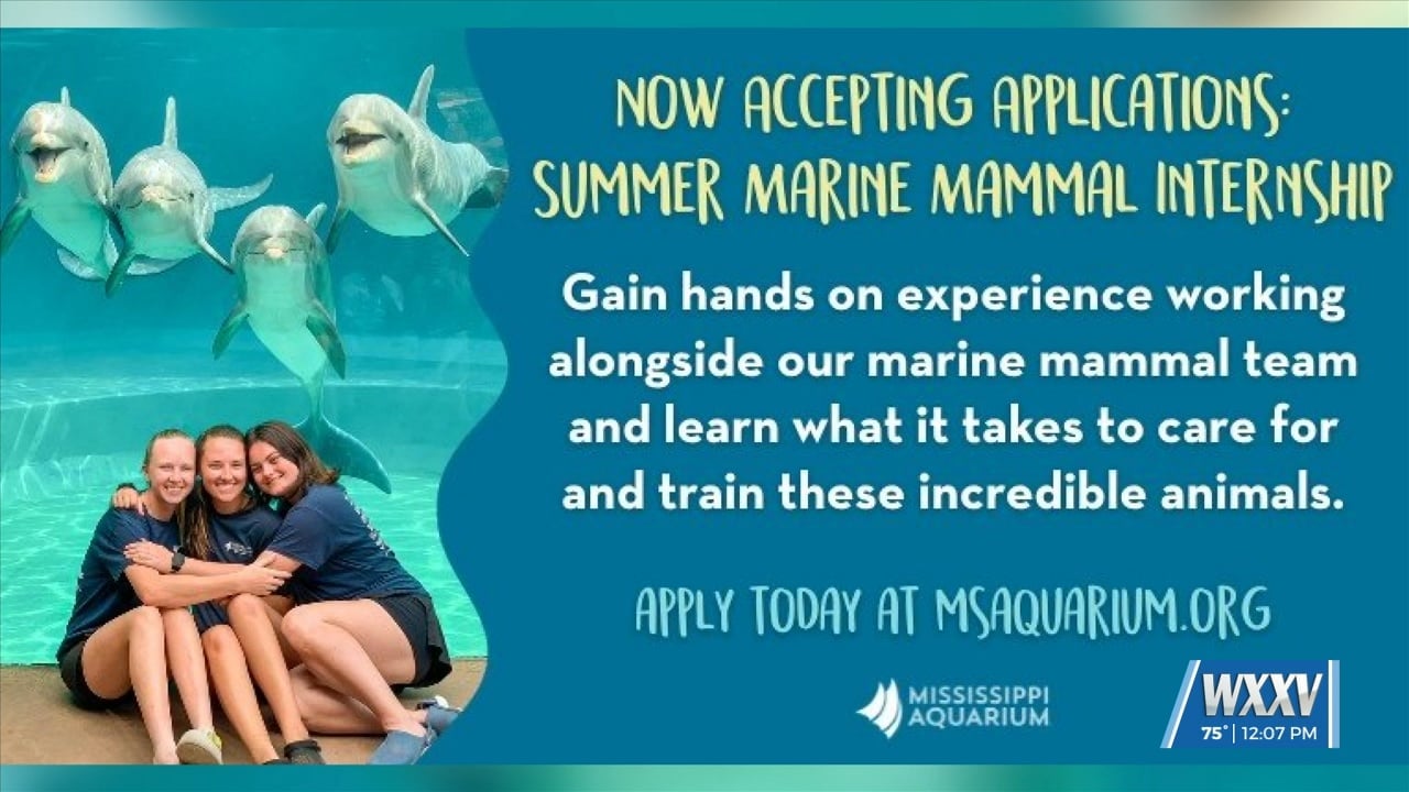 Mississippi Aquarium accepting internship applications