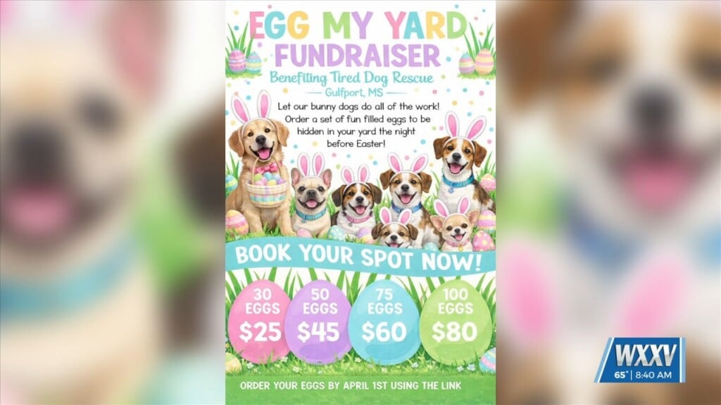 Egg The Yard Fundraiser Benefiting Tired Dog Rescue