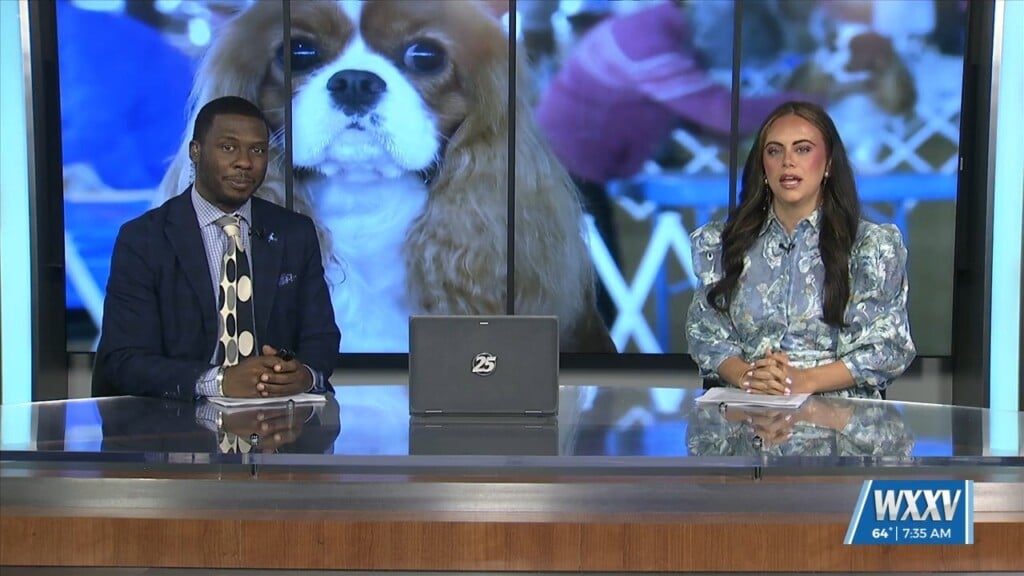 Live: The Crawfish Cluster Dog Shows