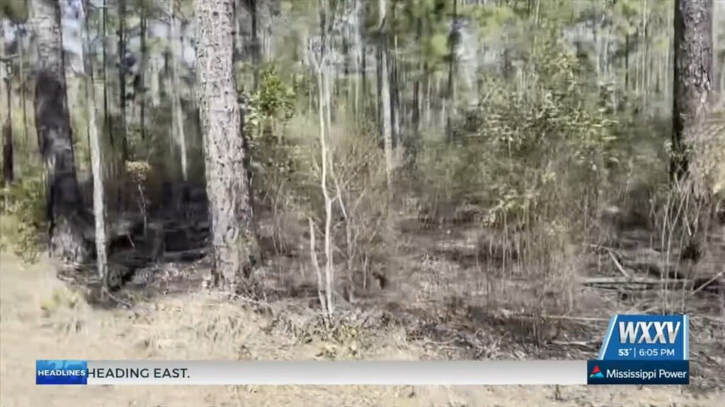 Windy Conditions Result In Small Woods Fire In Harrison County