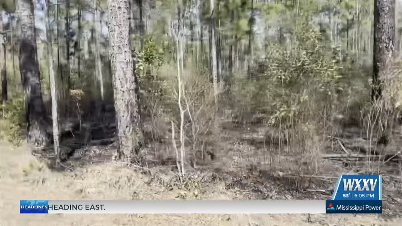 woods fire Archives - WXXV News 25