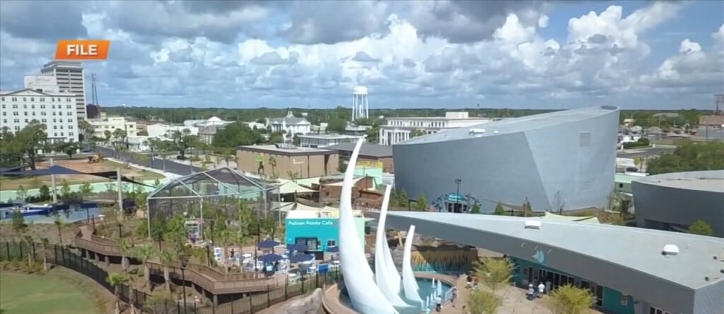 Mississippi Aquarium Hosting Galactic Events For May The 4th Day