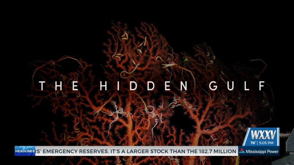 ‘the Hidden Gulf’ Documentary Available Now On Youtube
