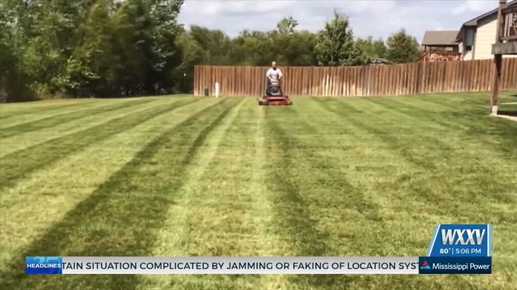 Greenpal App Brings Lawn Care To Gulf Coast