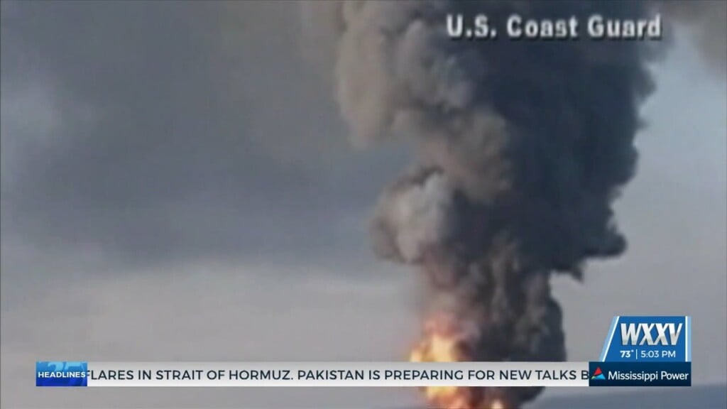 Looking At The Impacts Of The Deepwater Horizon Oil Spill 16 Years Later