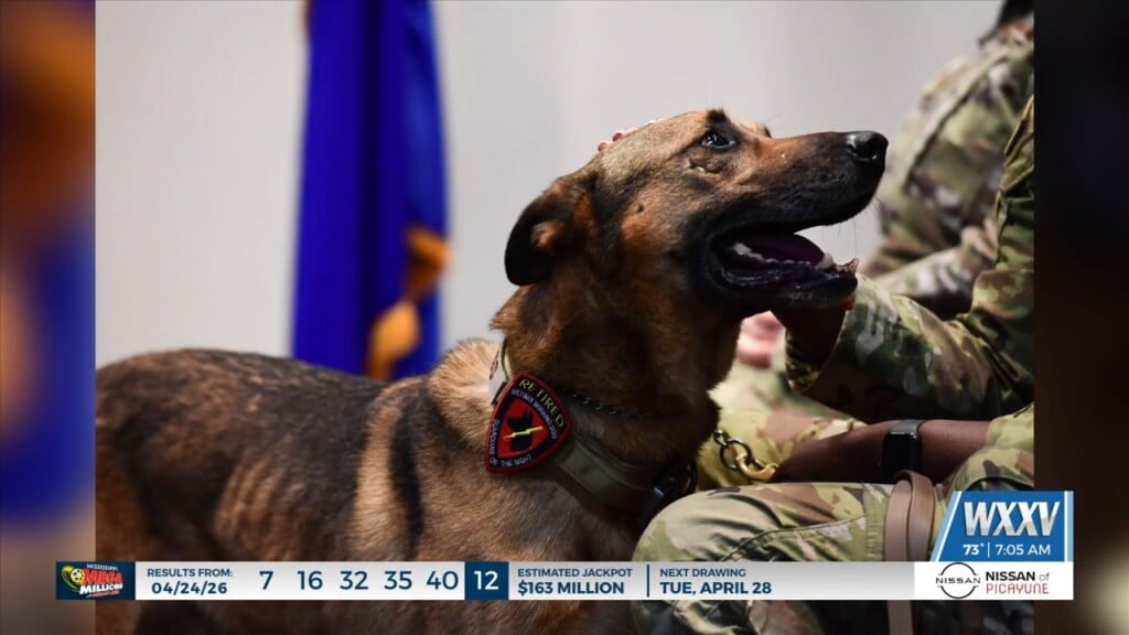 Keesler Air Force Base Honors Working Dog With Retirement Ceremony
