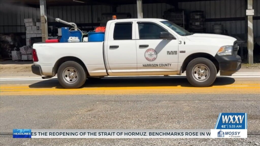 Prevention And Treatment Tips For Mosquito Season