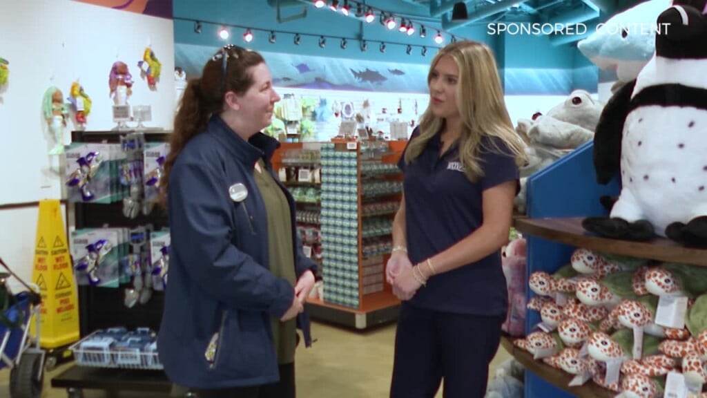 Wild Wonders Gulf Shop