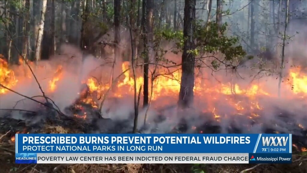 As Drought Continues, Mississippi Forestry Commission Continues Fighting Wildfires With Prescribed Burns