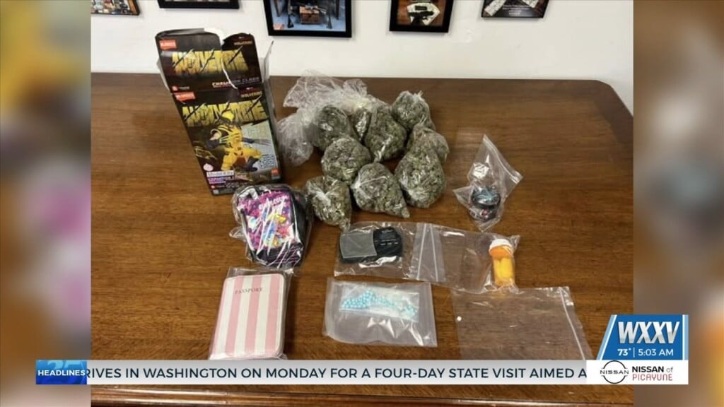 Two Arrested On Drug Charges After Police Search Home In Picayune