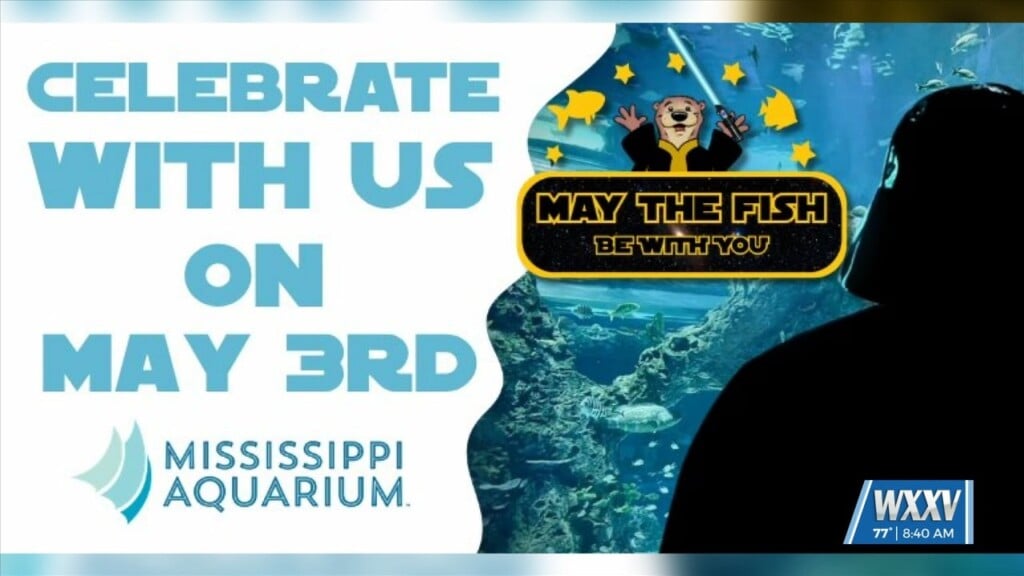 Mississippi Aquarium To Host Star Wars Themed Celebration