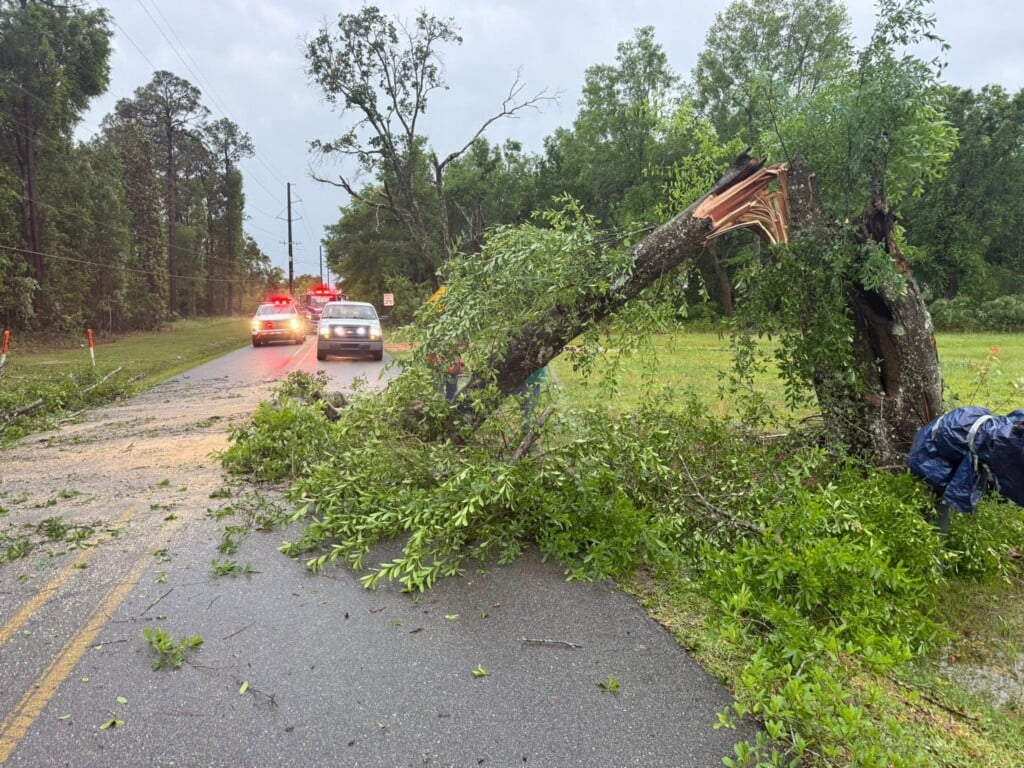 679700416 1274099471584677 7064188489109662125 N