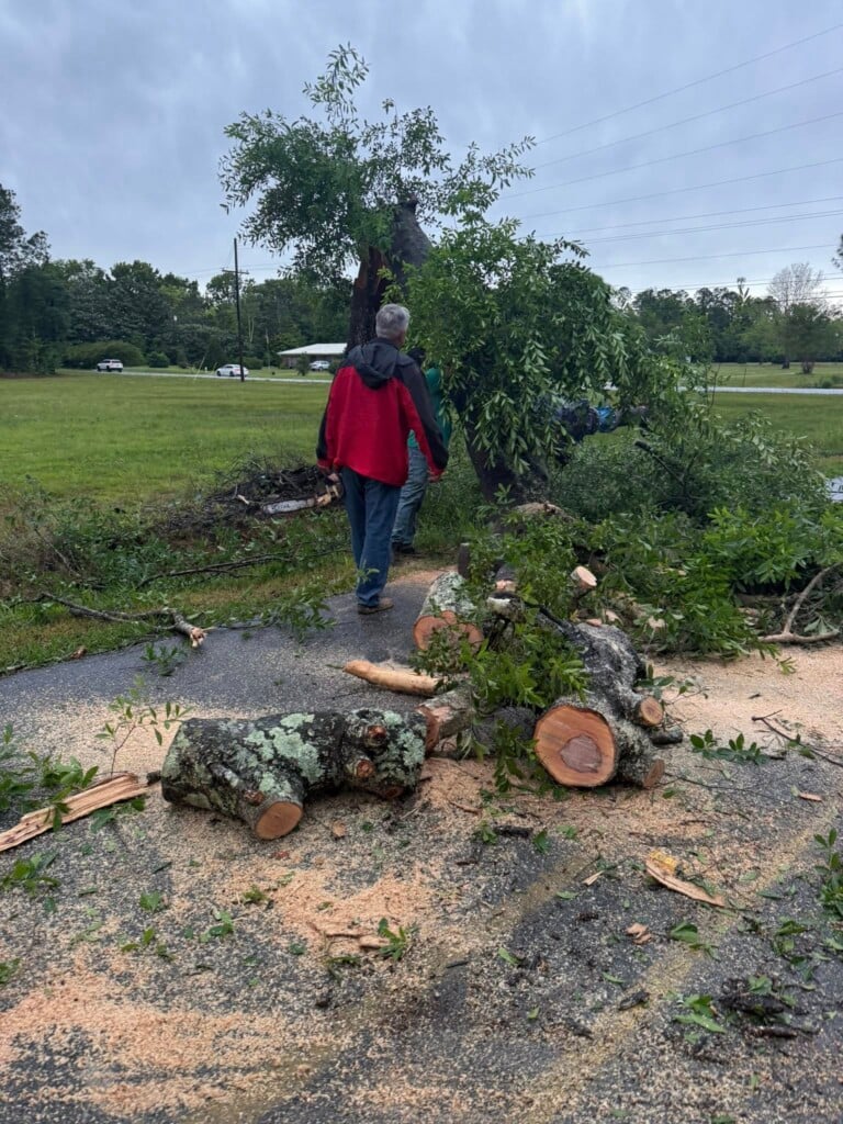 681252414 1274099404918017 6344191905196948845 N