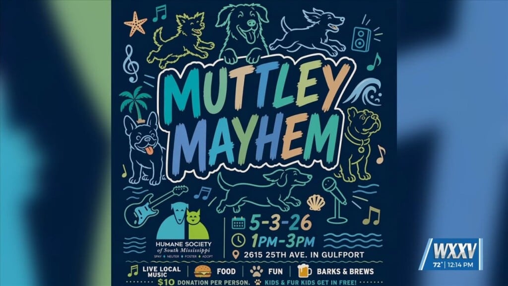 Humane Society Of South Mississippi Hosting ‘muttley Mayhem’ To Support Local Pups