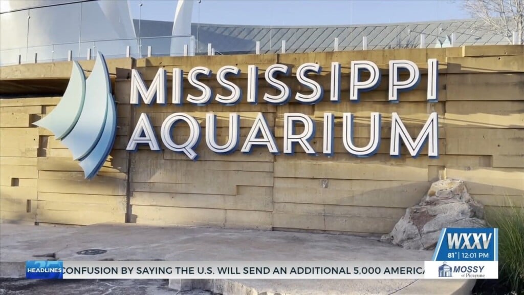 Mississippi Aquarium Military Appreciation Weekend