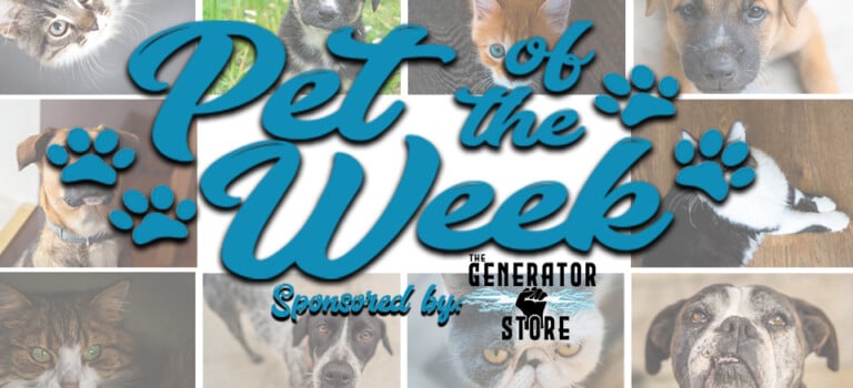 Petoftheweekheader
