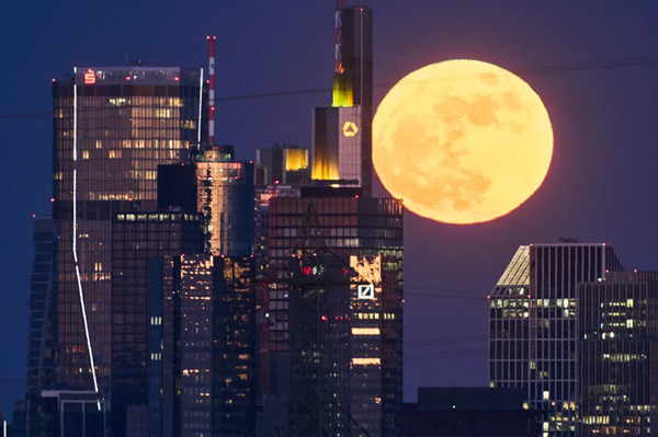 Blue Micromoon