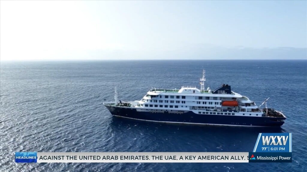 Local Experts Discuss Hantavirus And How It Spreads After Cruise Outbreak