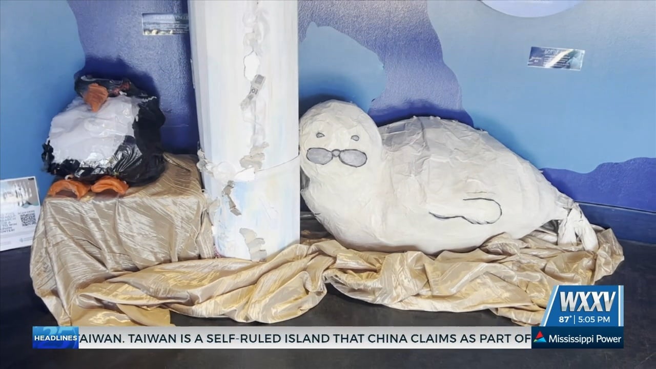 Mississippi Aquarium, Southern Miss unveil plastic pollution exhibit ‘Toxic Beauty’