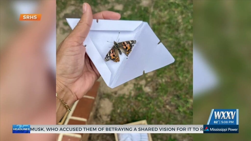 Singing River Hospice Of Light To Host Butterfly Memorial Services To Honor Loved Ones