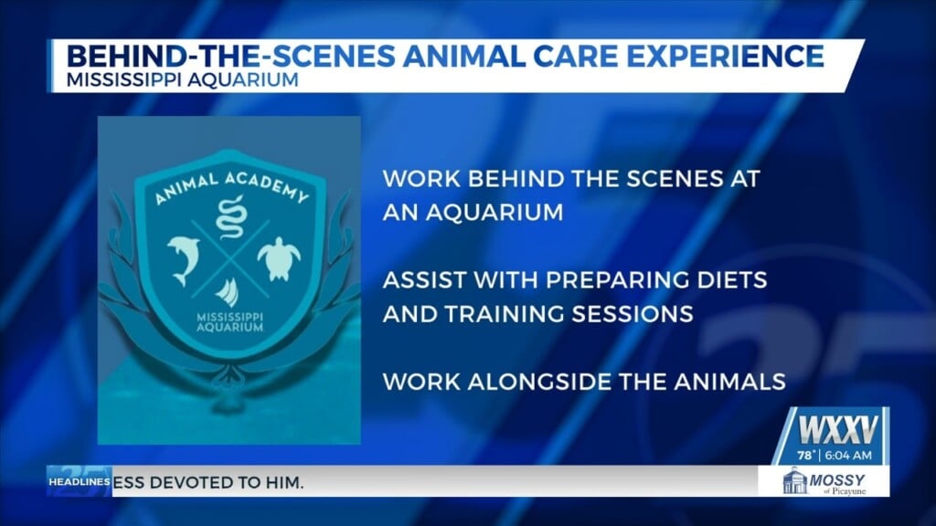 Mississippi Aquarium Offering Behind The Scenes Animal Care Experience