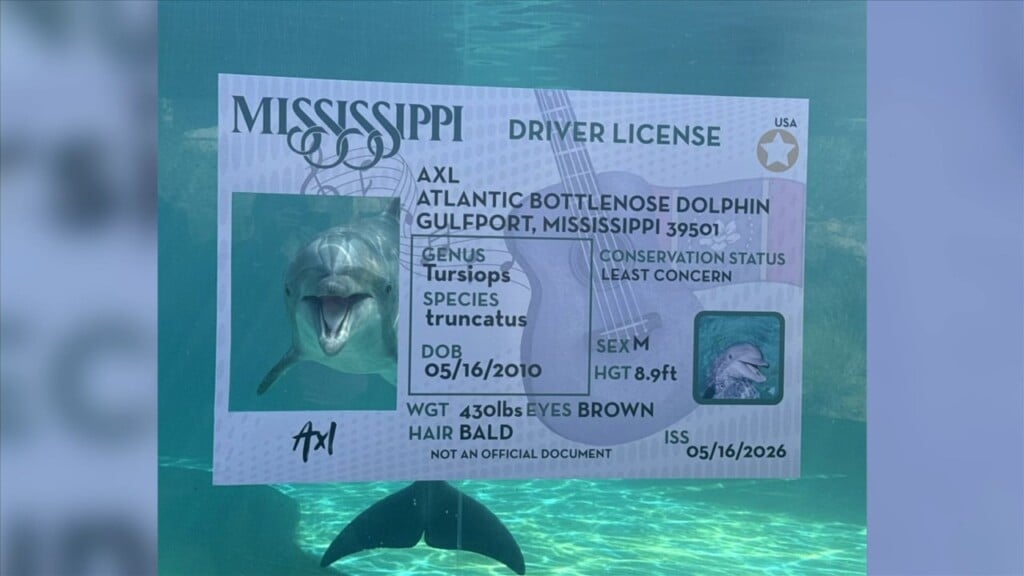 Mississippi Aquarium Celebrates Axl The Dolphin’s 16th Birthday