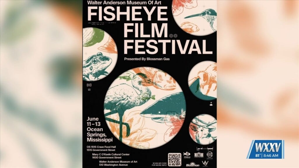 Walter Anderson Museum Of Art Hosting Their Fisheye Film Festival