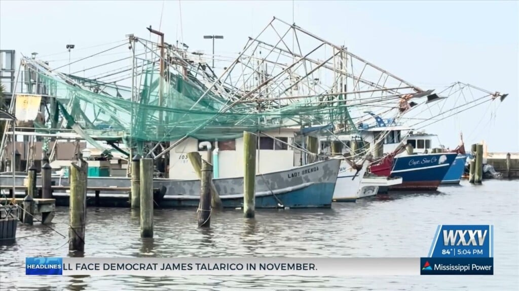 Coast Shrimpers Return To Waters For Opening Of 2026 Shrimp Season