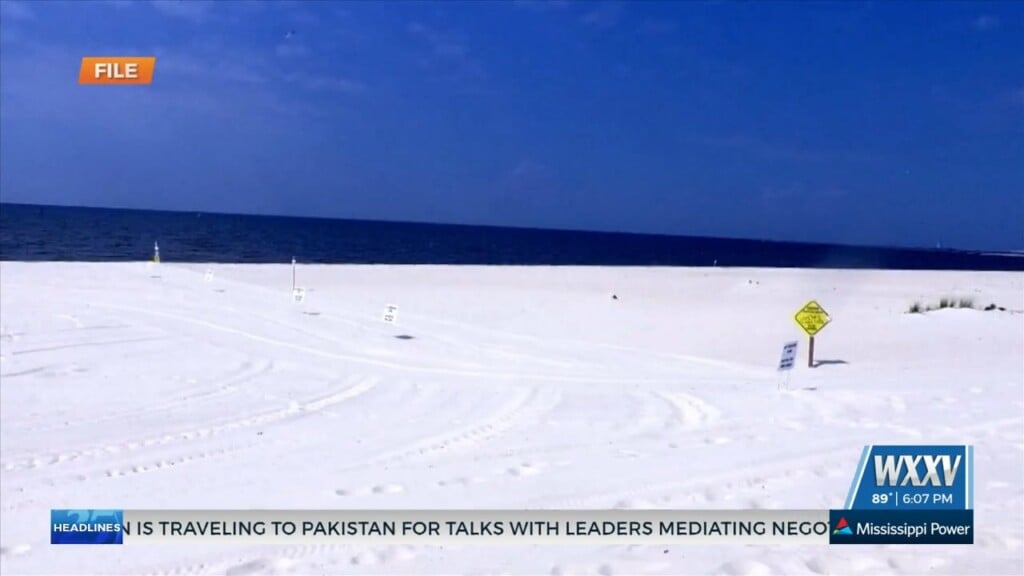 Mainland Least Tern Nesting Sites Facing Challenges Following Flooding