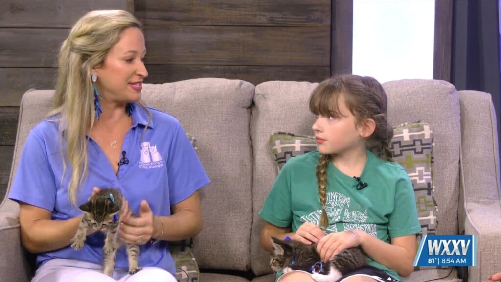 Pet Of The Week: Mike And Ike Looking For Forever Homes!