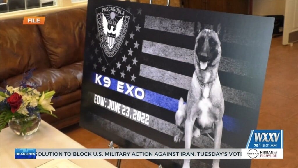 Pascagoula Pd Remembers Fallen K9 Officer Exo