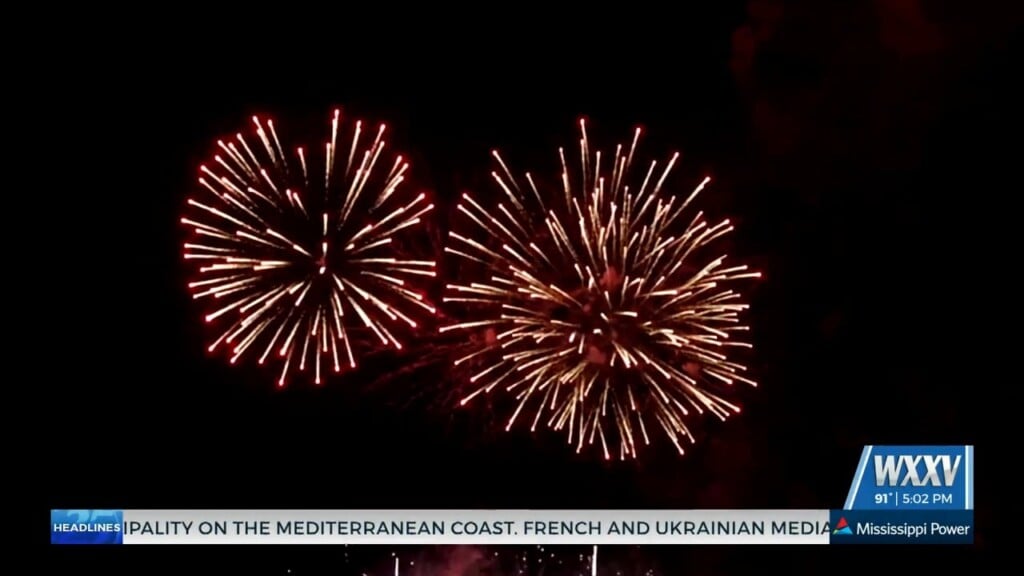 Local Veterinarian Offers Tips To Protect Pets From Fireworks And Holiday Hazards