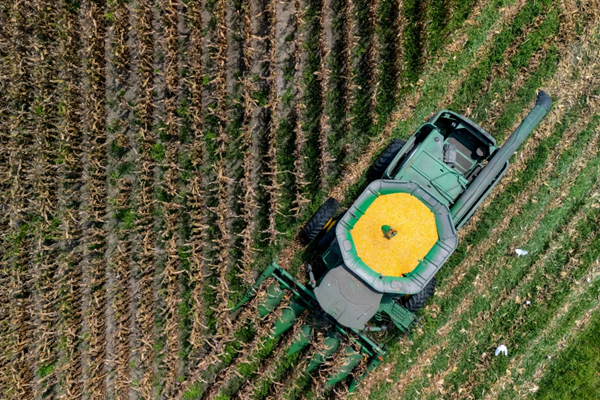 Farmers