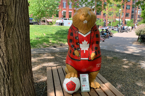 Beaver
