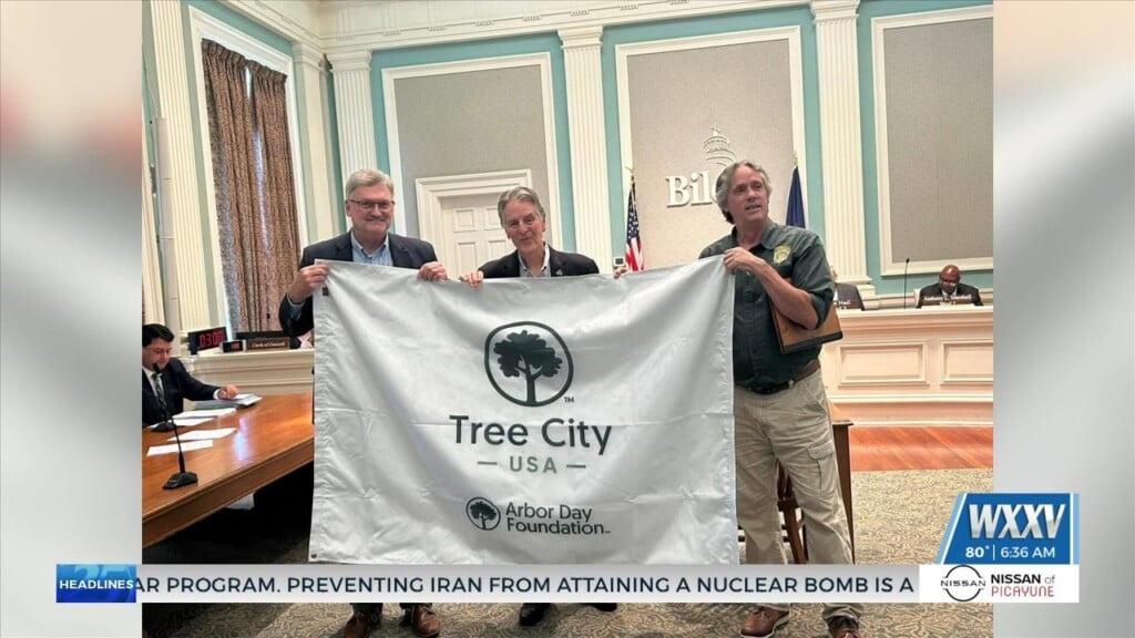 City Of Biloxi Recognized As 2025 Tree City