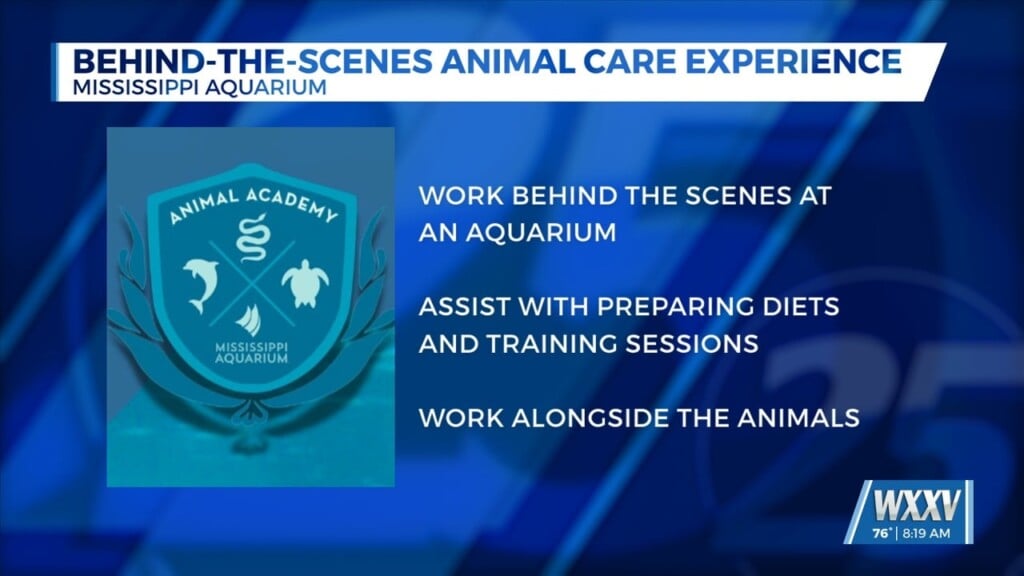 Mississippi Aquarium Introducing Animal Care Academy