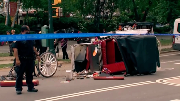 Horse Carriage