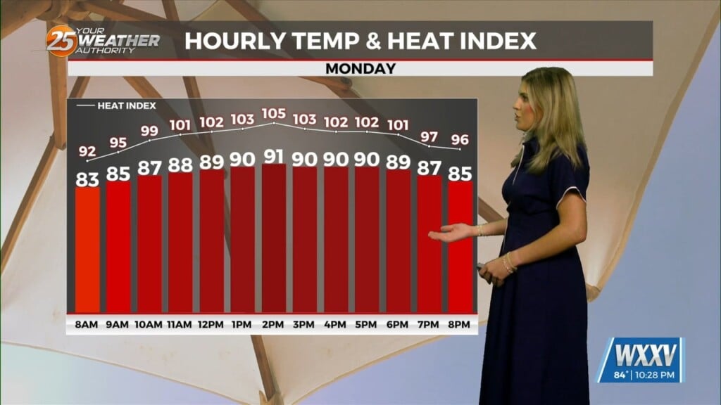 6/21 Brynne's First Day Of Summer Forecast