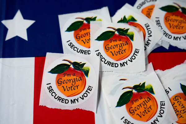 Georgia Voter