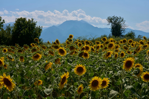 Mount Olympus