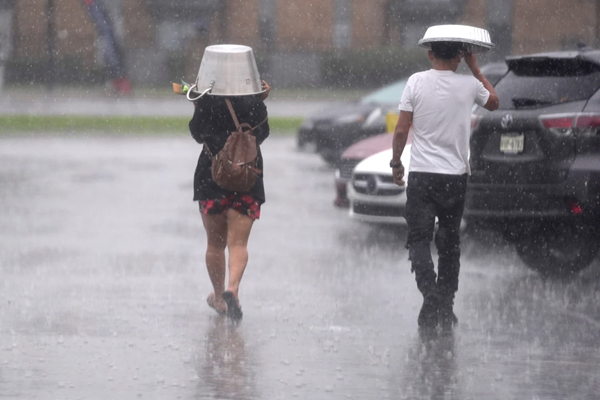 Rain