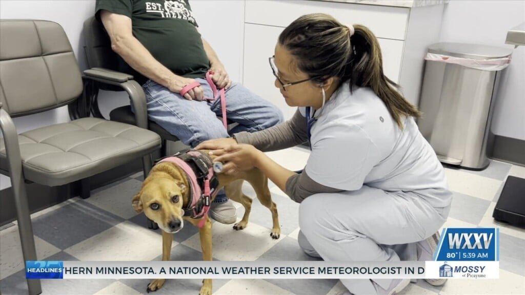 Humane Society Of South Mississippi Opens After Hours Vet Clinic
