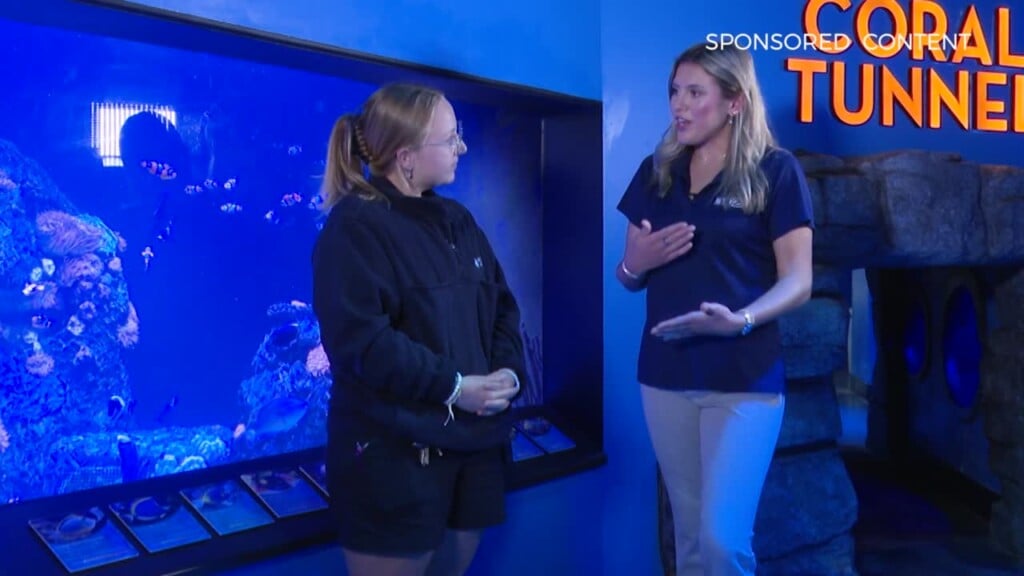 Wild Wonders Soft Coral Exhibit