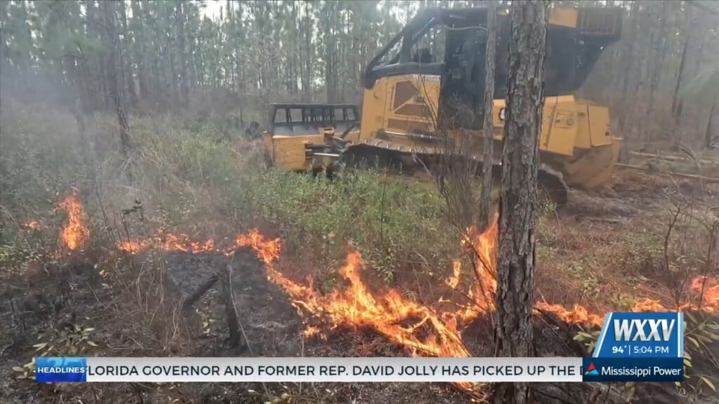 Two Coastal Cities Issue Burn Bans Amid Dry Conditions
