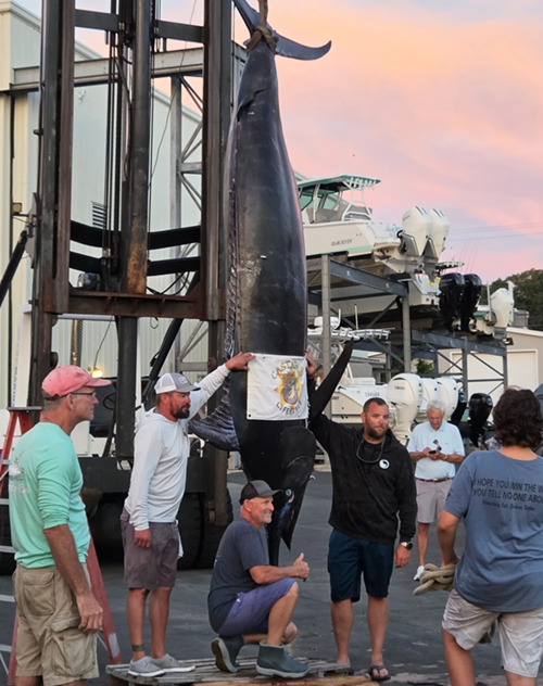 Blue Marlin